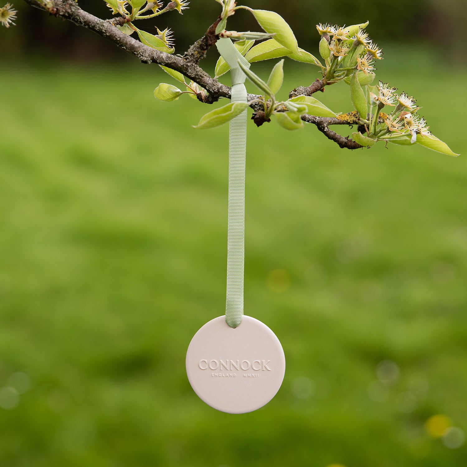 Verdant Scented Ceramic & Mist Set