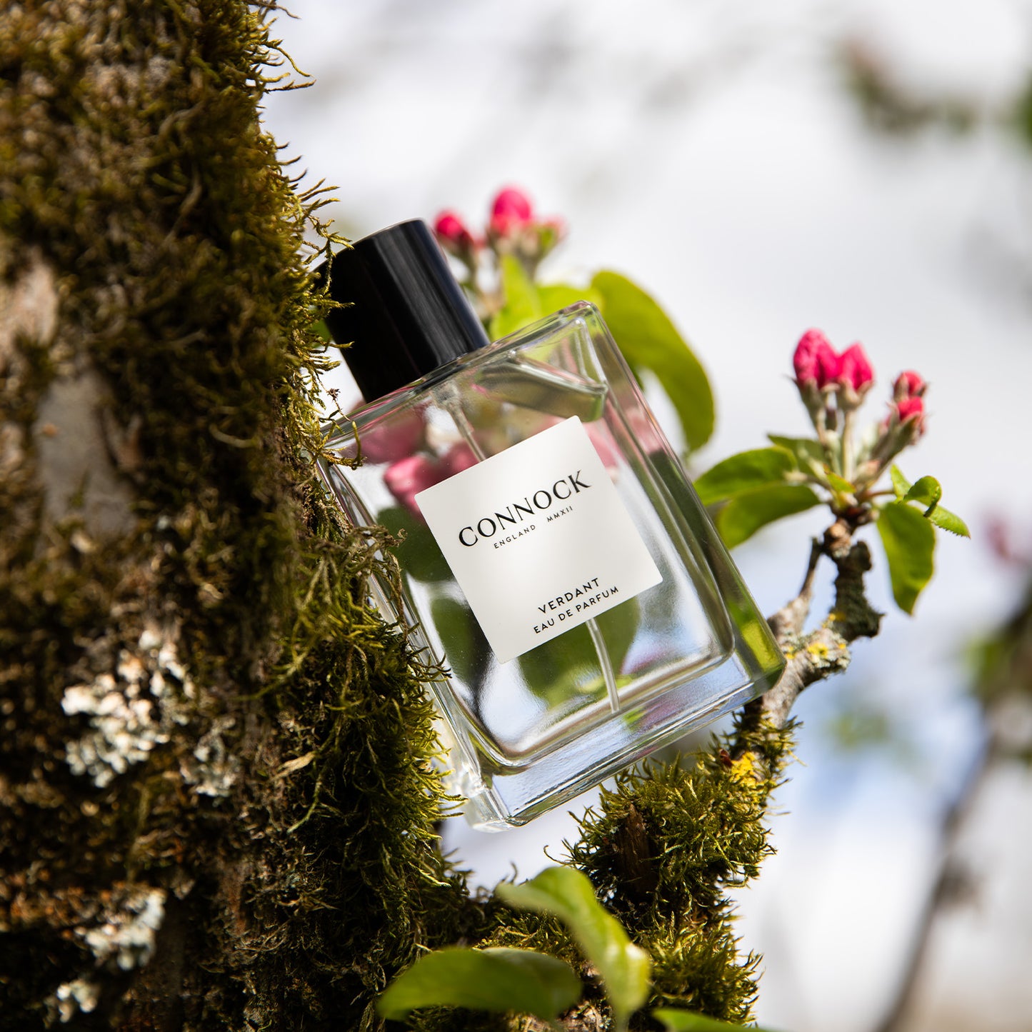 Verdant Eau de Parfum 100ml